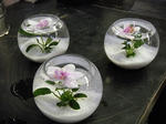 s-DSCN0200.jpg