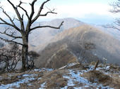 IMG_7075.JPG