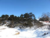 a78d180b.JPG