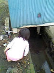 07062901.jpg