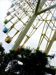07080208.jpg