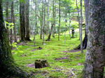 07080309-1.jpg