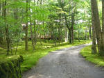 07080309-2.jpg