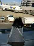 08021303.jpg