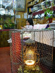 08021508-2.jpg