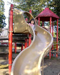 08031504.jpg