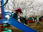 08040203.jpg