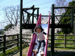 08040601.jpg