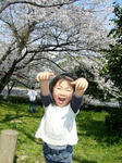 08040602.jpg