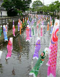 08050511.jpg