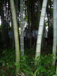 08082303.jpg