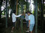 08082304.jpg