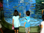 08083102.jpg