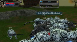 tora.JPG