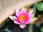 DSC00217.JPG