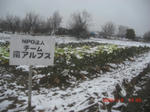 CIMG5615.JPG
