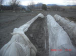 CIMG5879.JPG