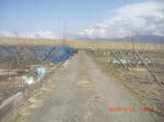 CIMG6547.JPG