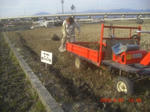CIMG6609.JPG