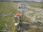 CIMG6622.JPG