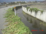 CIMG6652.JPG