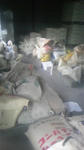 DVC00158.JPG