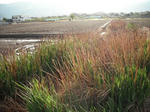 DSCF0161.jpg