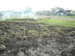 DSCF0239.jpg