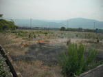 DSCF0260.jpg