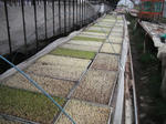 DSCF0300.jpg