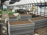 DSCF0278.jpg