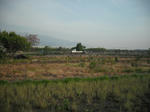 DSCF0394.jpg