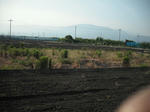 DSCF0395.jpg