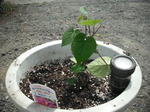 DSCF0416.jpg