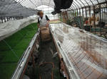 DSCF0436.jpg