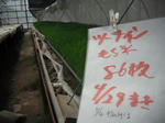 DSCF0459.jpg
