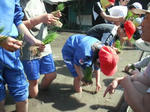 DSCF0485.jpg