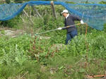 DSCF0498.jpg