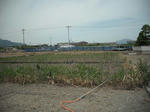 DSCF0501.jpg