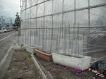 DSCF0515.jpg