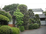 DSCF0577.jpg