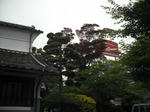 DSCF0578.jpg