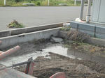 DSCF0668.JPG