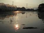DSCF0695.JPG