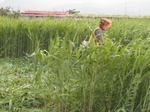 DSCF0685.JPG