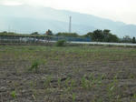 DSCF0701.JPG