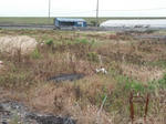DSCF0718.JPG