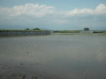 DSCF0880.JPG