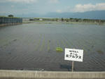 DSCF0881.JPG
