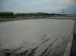 DSCF0884.JPG